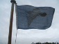 SeagullTrustFlag